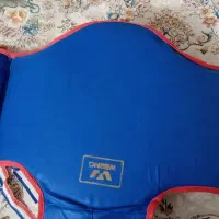 هوگو و کاپ کونگ فو