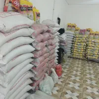 عرضه انواع برنج ایرانی پاکستانی و تایلندی گریدA وB|خوردنی و آشامیدنی|نورآباد, |دیوار