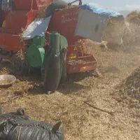 جو دیمی و هرته