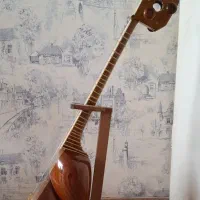 تار استاد طهرانی