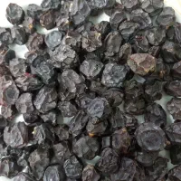 آلوخورشتی محلی