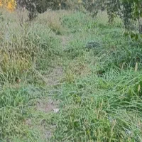 باغ برق دار درتپه باشی فیرورق|فروش زمین و ملک کلنگی|فیرورق, |دیوار