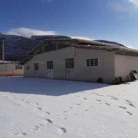 فروش کارخانه بسته بندی مواد غذایی ۴۸۰۰متری|فروش دفتر صنعتی، کشاورزی، تجاری|شیراز, عفیفآباد|دیوار