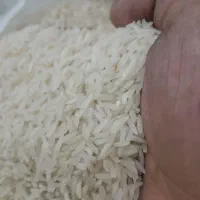 برنج هاشمی