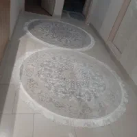 فرش ۴۵۰۰ شانه فروش نقدی یا چک معتبر|فرش|زنجان, |دیوار