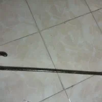 عصا|کلکسیون اشیاء عتیقه|اصفهان, بهار آزادی|دیوار