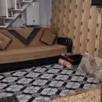 سوییت اجاره اشنویه