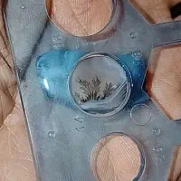 شجر قیمت باور نکردنی|جواهرات|تهران, بوستان چیتگر|دیوار