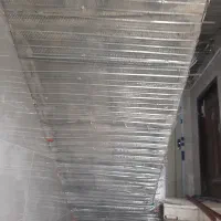 هیلتی کاری و رابیتس