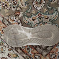 کفش|کیف، کفش، کمربند|کوهدشت, |دیوار