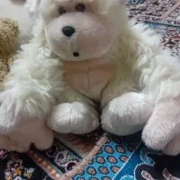 عروسک خرسی|اسباببازی|چناران, |دیوار