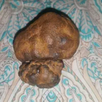 دوعدد سنگ با چگالی ۳/۱۶دهم درصد توافقی