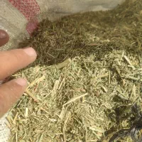 خوراک دام یونجه تمیز خرمنکوب|لوازم جانبی حیوانات|دهدشت, |دیوار