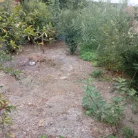 زمین مسکونی