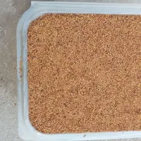 بذریونجه