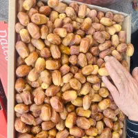 زاهدی (قصب )پشتکوه