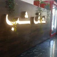 سالندار خانم،نیروی ساده