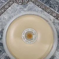 3عدد لوستر بزرگ سه رنگ و سه حالت