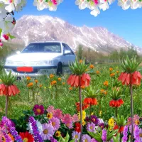 فروش خودروی پارس دوگانه دستی|خودرو سواری و وانت|فریدونشهر, |دیوار