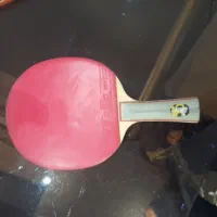 دسته پینگ پنگ DHS (دبل هپینس)