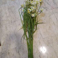 گل مصنوعی ، گلدان و گل تزیینی|گل مصنوعی|تهران, سوهانک|دیوار