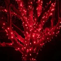 انواع ریسه های تزئینی مناسب دیزاین شب یلدا|ریسه و چراغ تزئینی|مشهد, سعد آباد|دیوار