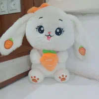 عروسک خرگوش و خرس نو
