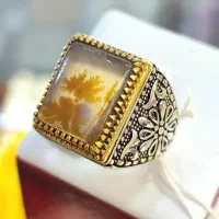 انگشتر نقره مردانه گم کردم