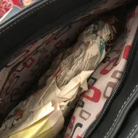 کیف|کیف، کفش، کمربند|فشم, |دیوار