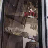 بوفه