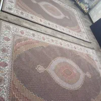 فرش ۷۰۰شانه نو|فرش|ارومیه, |دیوار
