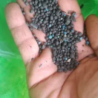 کود سیاه مخصوص کشاورزی‌|گل و گیاه طبیعی|چمران, |دیوار