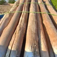 خرید انواع چوب باغی بع قیمت کارخانه.|خدمات باغبانی و درختکاری|چناران, |دیوار