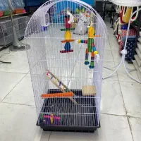 قفس مرغ عشق