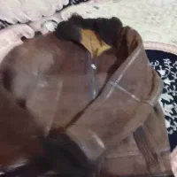 کاپشن بوفالو اصل