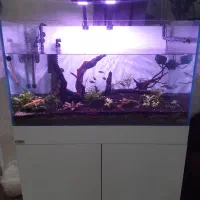 فروش اکواریوم ریملس