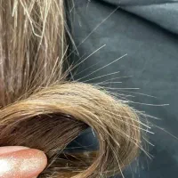 تخفیف خدمات و آموزش ناخن،کراتین،بندو بقیه رشته ها|خدمات آرایشگری و زیبایی|گرگان, |دیوار