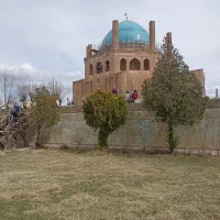جویای کار هستم