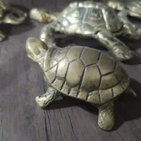 لاک پشت برنجی