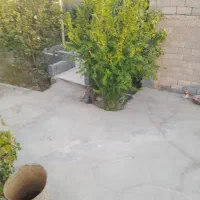 باغ