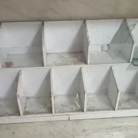 قفسه