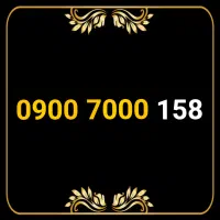 سیمکارت رند طلایی دائمی صفرپک- 158 7000 0900