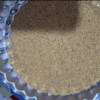 نمایندگی بذر یونجه پایه بلند موسوی|خدمات باغبانی و درختکاری|سقز, |دیوار