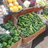 شاگرد میوه فروشی|استخدام خدمات فروشگاه و رستوران|بروجن, |دیوار