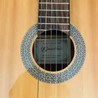گیتار گودمن
