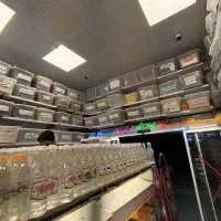 آرد برنج فله ای با کیفیت بالا (فقط کیلویی ۱۲۰ )|خوردنی و آشامیدنی|بیرجند, |دیوار