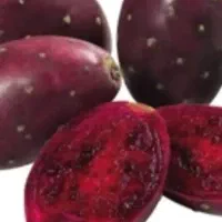 میوه کاکتوس اپونتیا|خوردنی و آشامیدنی|قم, حاج زینل|دیوار