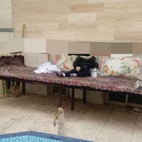 تخت حیاطی و قهوه خانه ای
