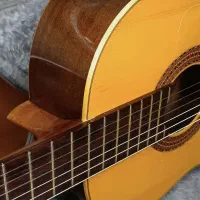 گیتار کلاسیک آنتونیو آپاراسیو مدل AA15|گیتار، بیس، امپلیفایر|رشت, گلسار|دیوار