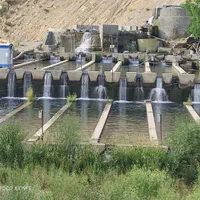 فروش ارزان ترین پرورش ماهی در ایران